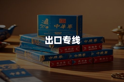 出口专线